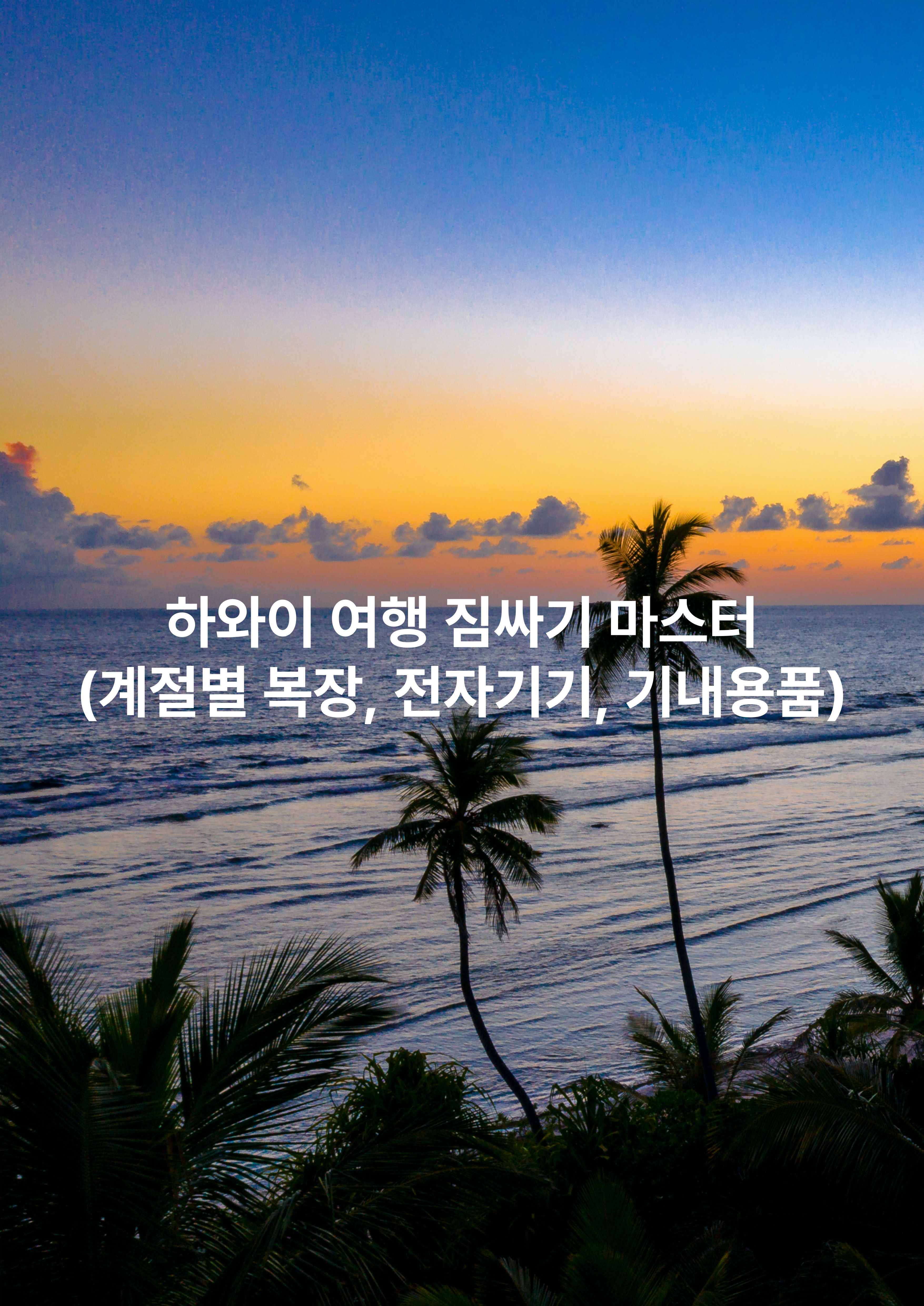 하와이 여행 짐싸기 마스터 (계절별 복장, 전자기기, 기내용품)