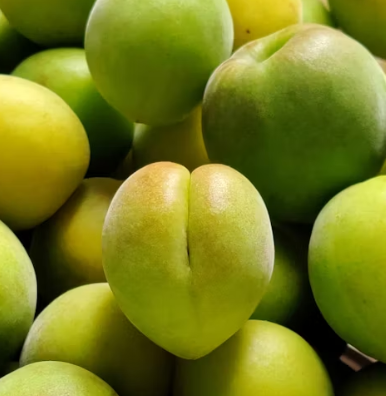 매실 효능과 부작용 고르는법 칼로리