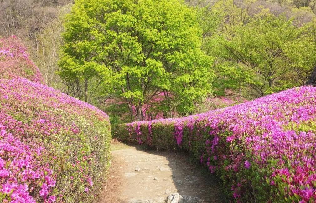 율봄식물원 딸기시즌&amp;#44; 체험하고 식물 동물까지! 식물원과 어우러지는 전원풍경 정원에서 이루어지는 계절 농촌체험입니다. 