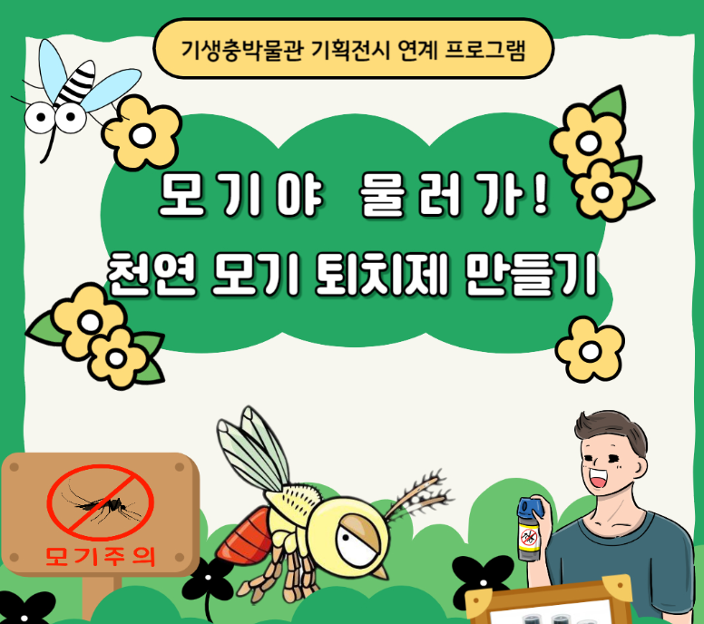 집에서 모기 퇴치하는법 사진