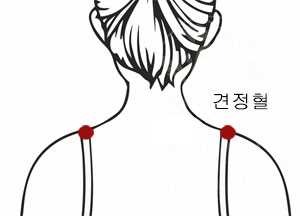 어깨 아플때 혈자리