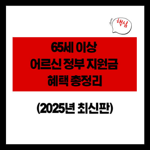 65세 이상 어르신 정부 지원금 혜택 총정리 (2025년 최신판)