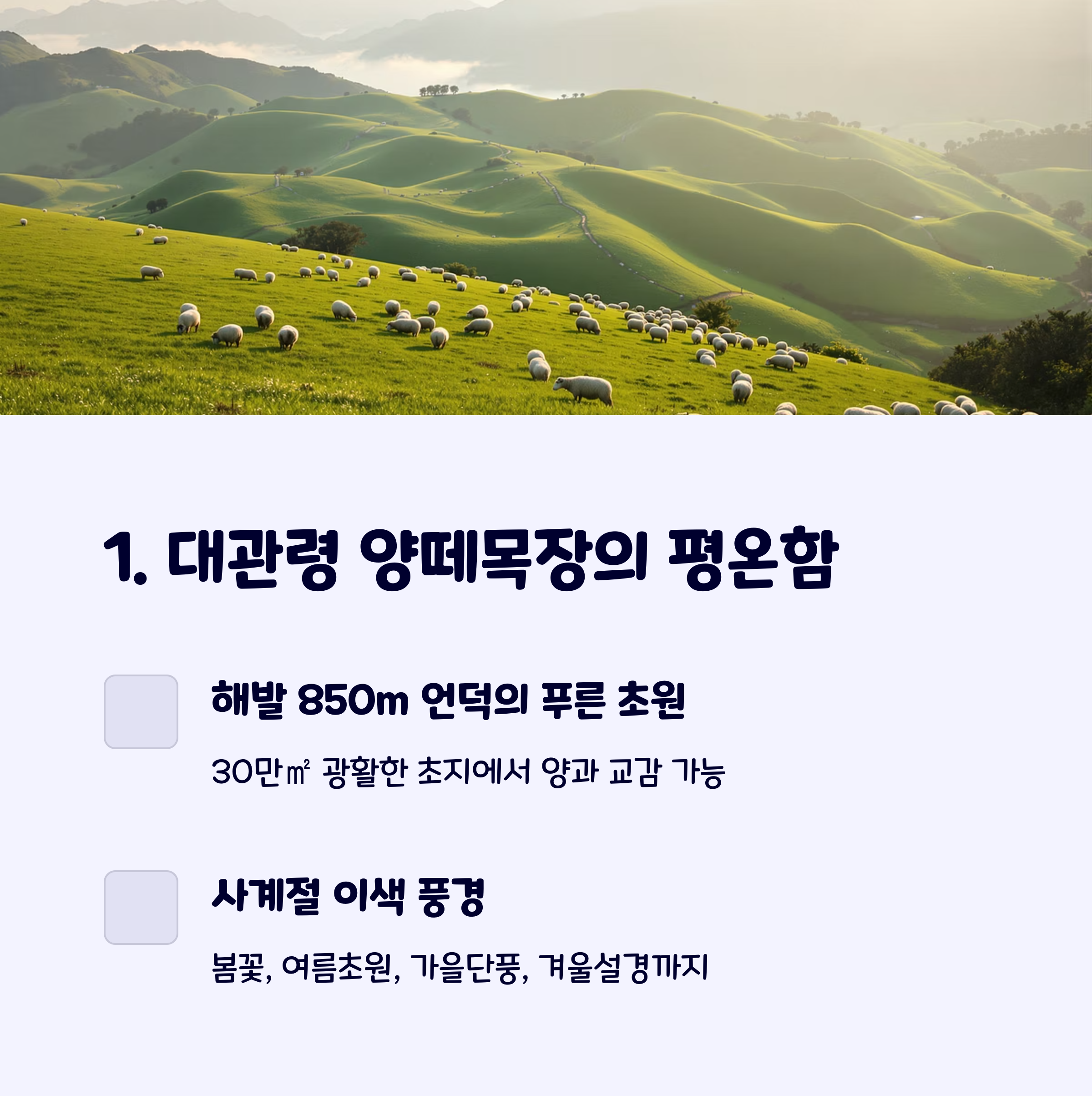 대관령양떼목장