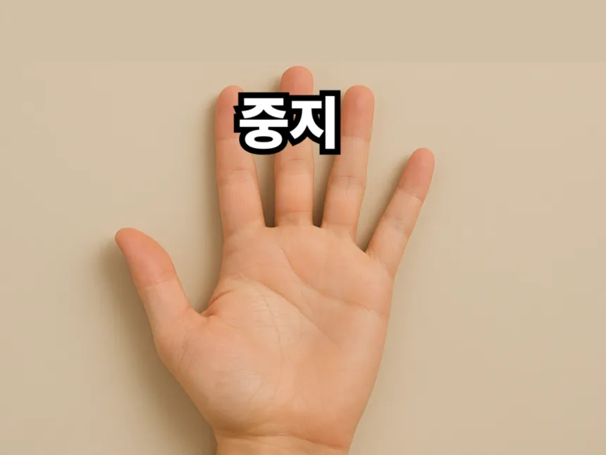 손가락 이름