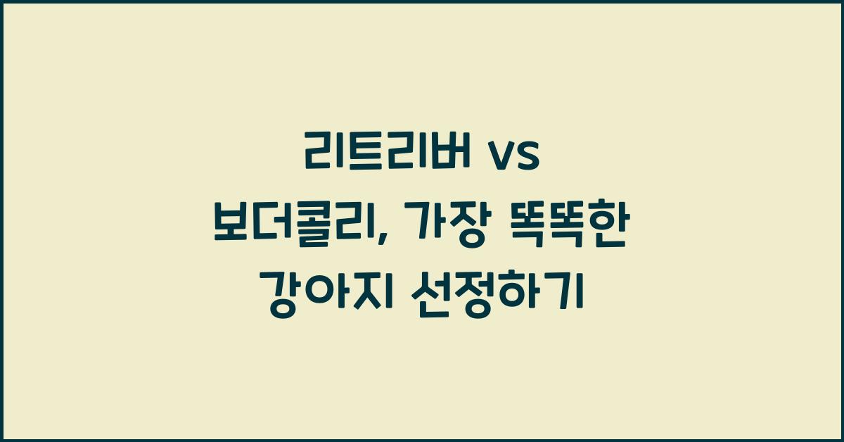 리트리버 vs 보더콜리, 가장 똑똑한 강아지는?