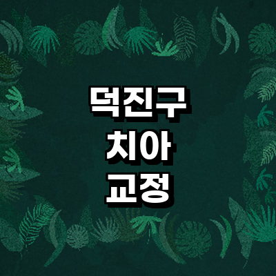 전주 덕진구 교정 치과