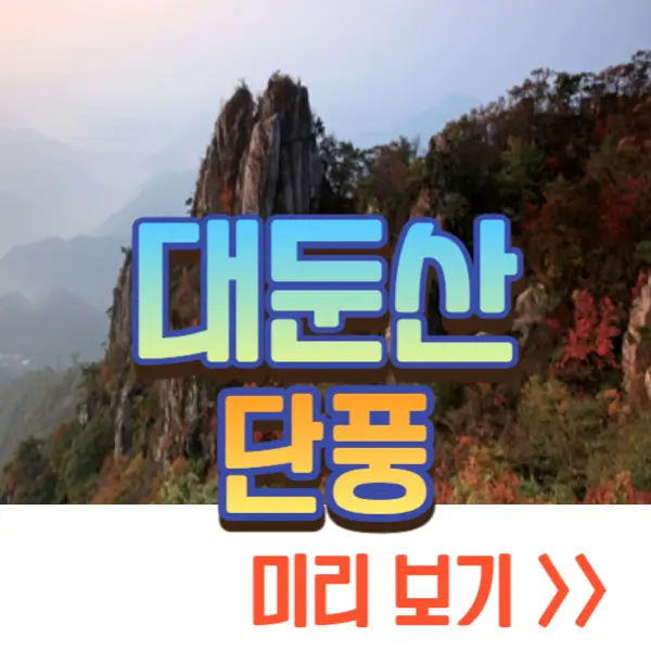 대둔산
