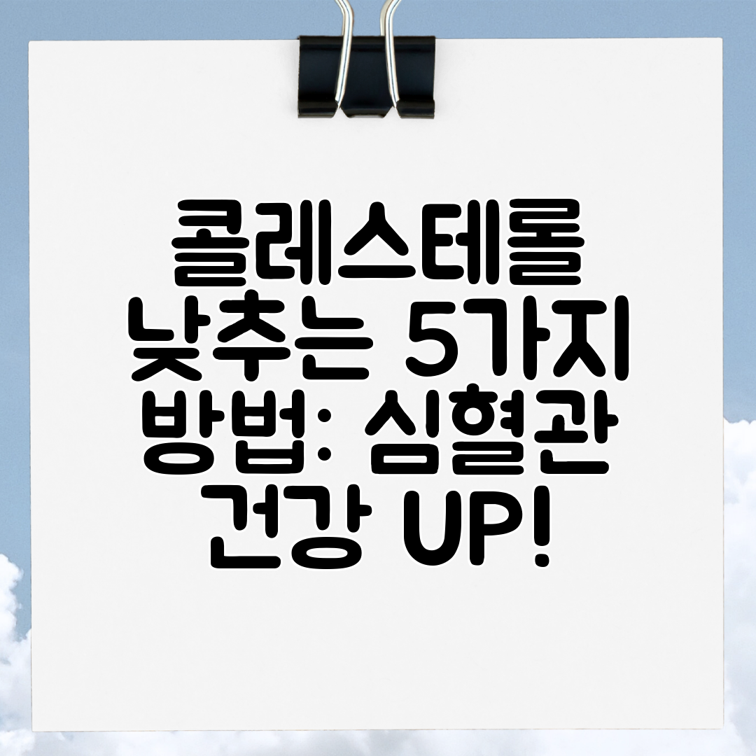 콜레스테롤 낮추는 5가지 방법 심혈관 건강 UP!