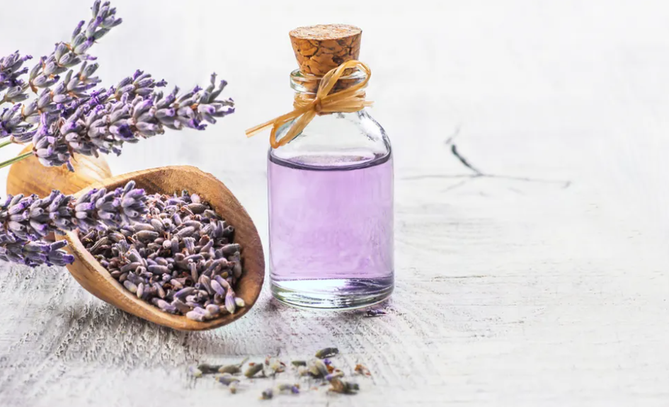 여성 청결제 추천