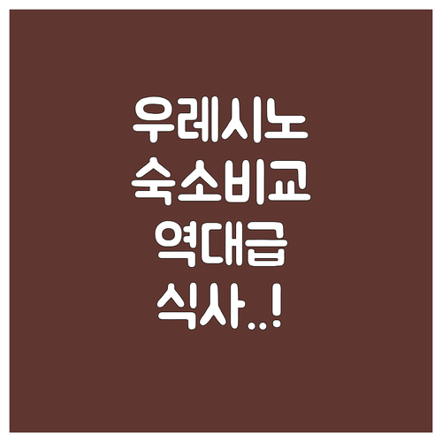 우레시노 온천 여행 숙소 비교 분석 ..