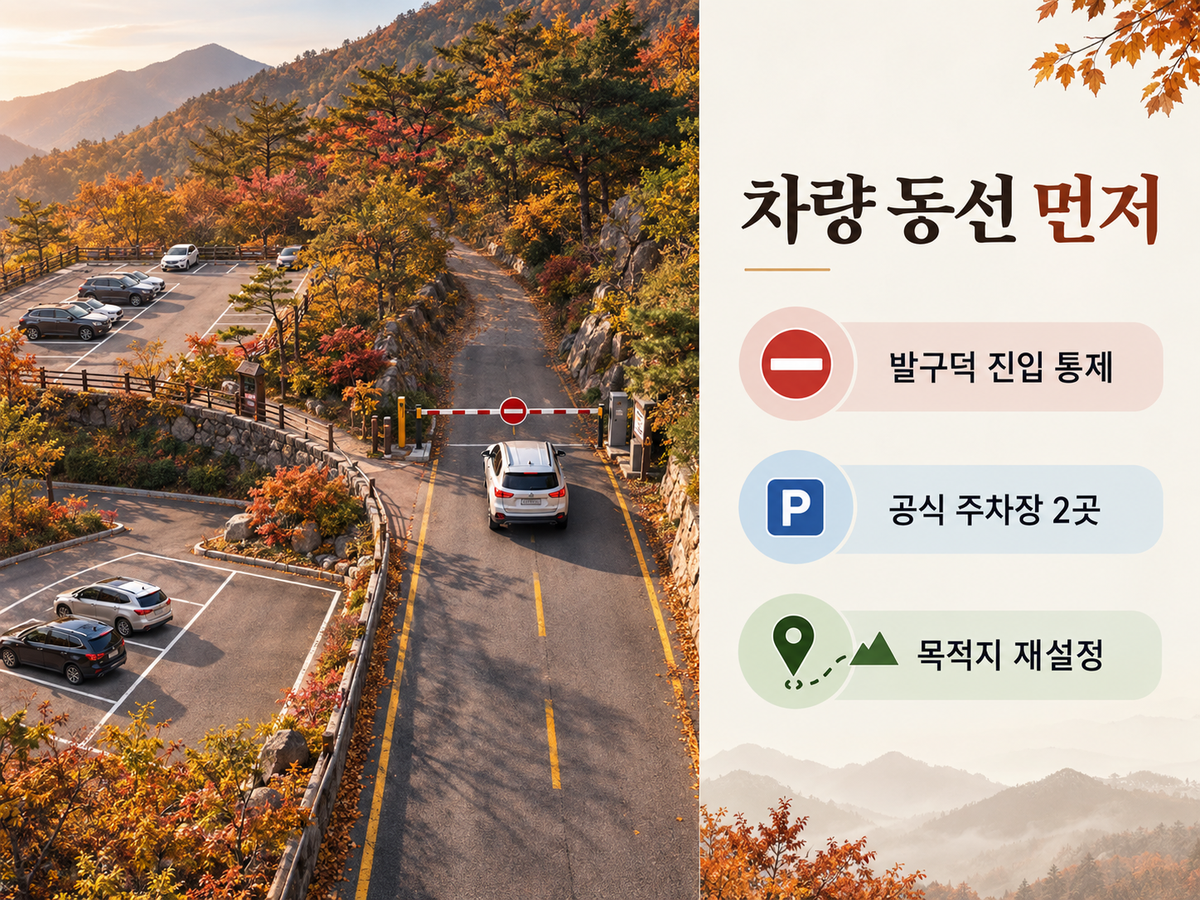 발구덕 차량 진입 통제와 공식 주차장 두 곳을 설명하는 민둥산 이동 동선 이미지