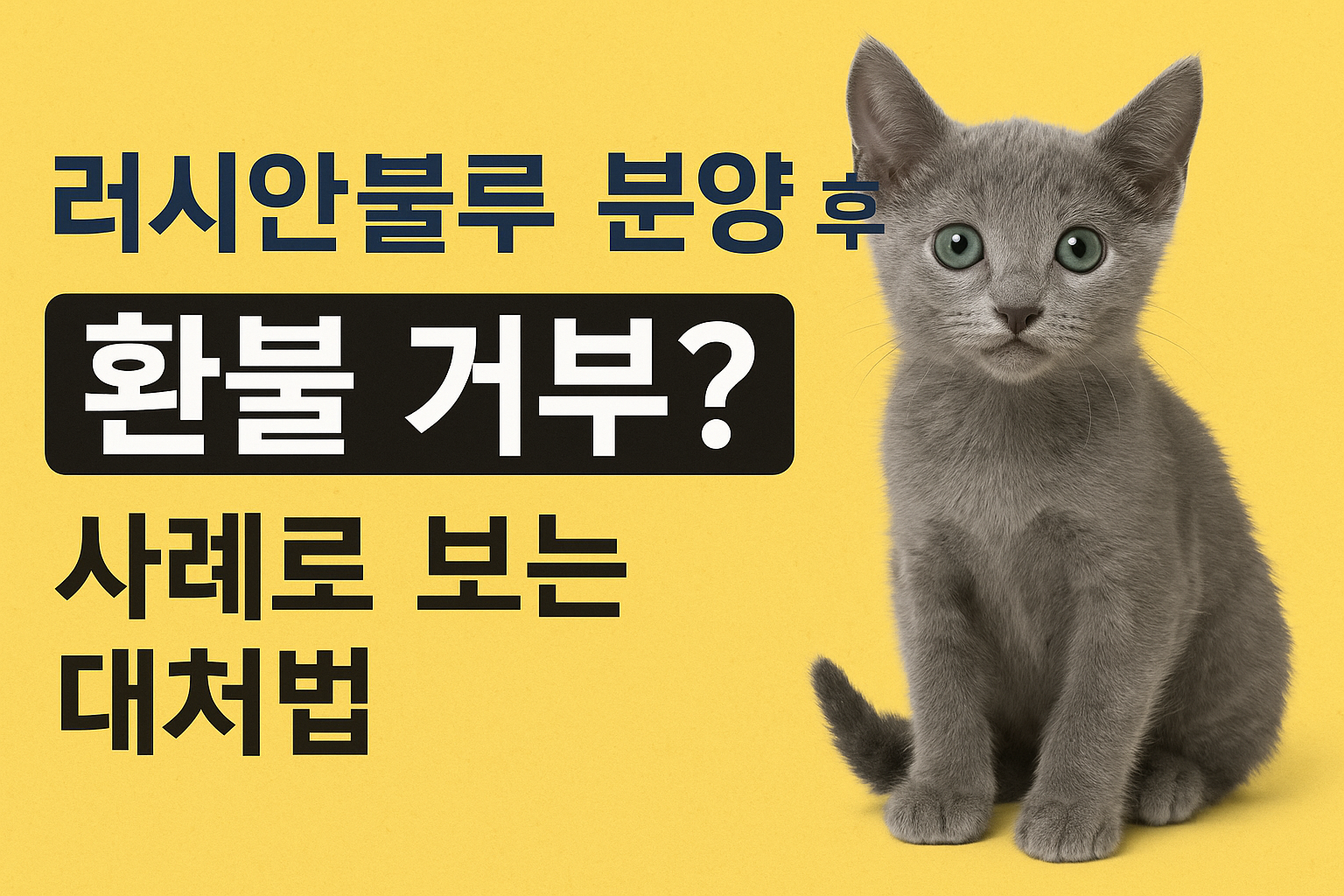 러시안블루 분양