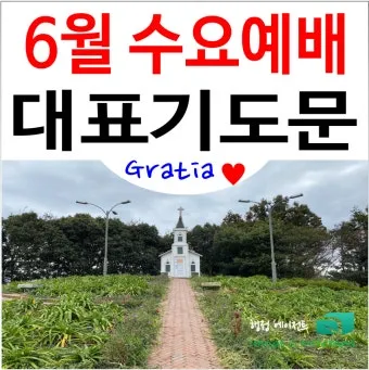 8월 수요예배 대표기도문 모음 Best 4 정리_12