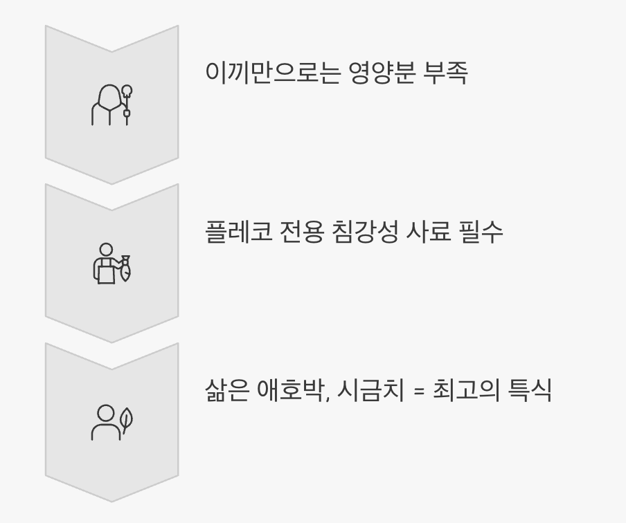 먹이 - '채식' 위주의 건강한 식단