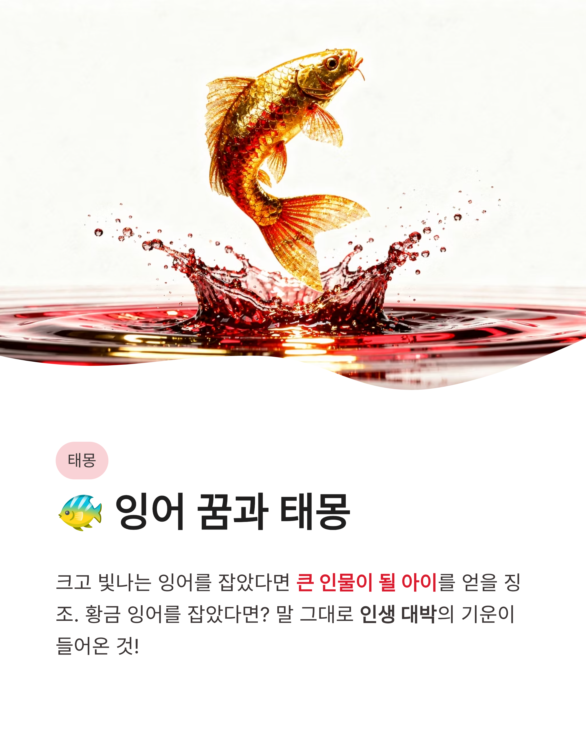 물고기 꿈 해몽 ❘ 잉어 잡는 큰 물고기 낚시하는 꿈, 태몽부터 재물운까지 대박 징조 완벽 풀이!