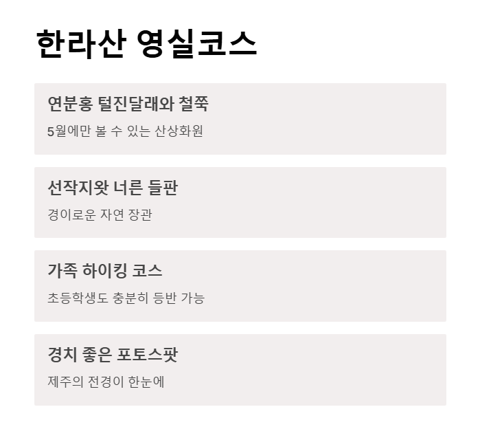 5월 제주도 연휴, 꼭 가봐야 할 명소와 축제