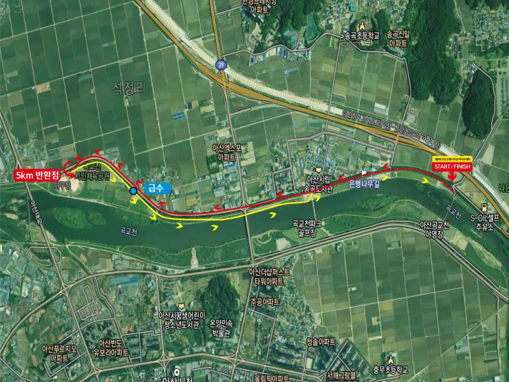 제11회-아산-은행나무길-전국마라톤-5km코스