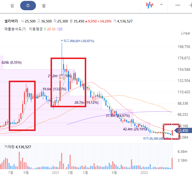 셀리버리 주가