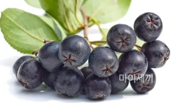 항암작용
