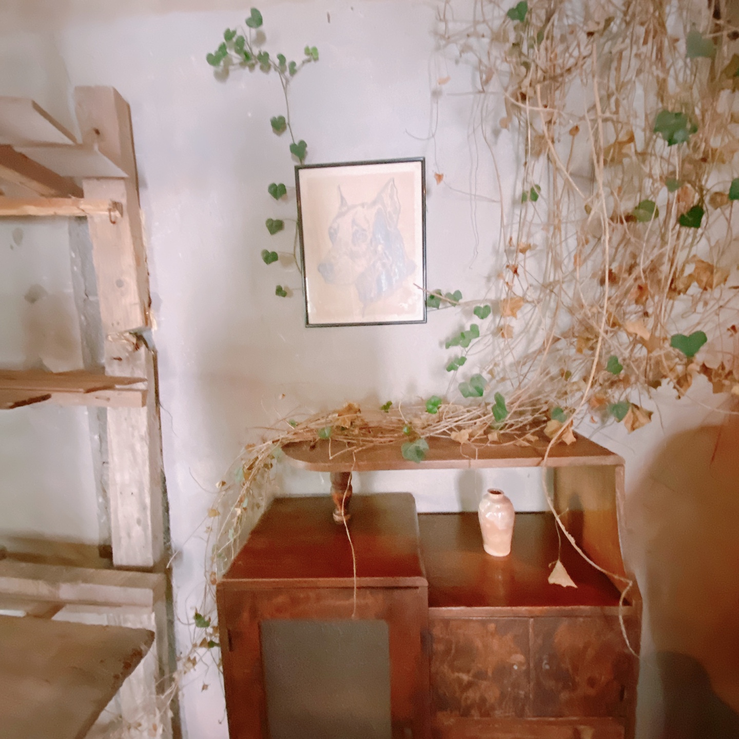 제주 한림 금능 제주구옥 주택개조 카페 잔물결