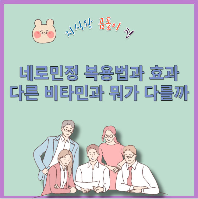 네로민정 복용법과 효과 다른 비타민과 뭐가 다를까