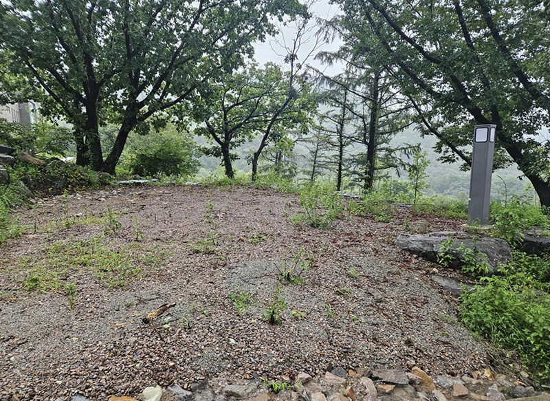 캠핑사이트