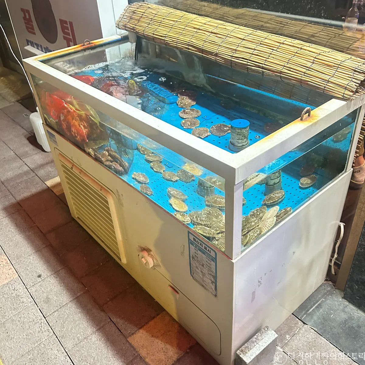 당곡역-동네-술집-당곡-술집-추천-관리-잘-된-수족관