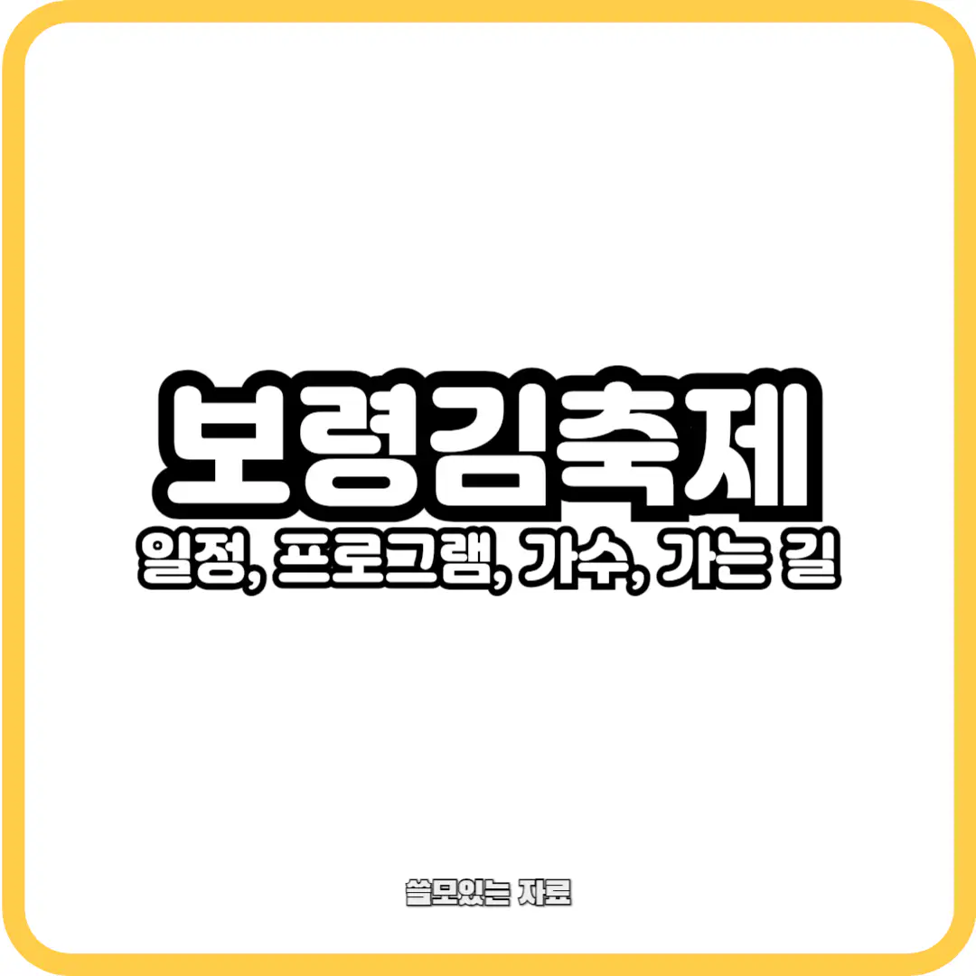 2024 보령김축제