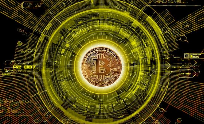 비트코인 보관을 위한 주요 커스터디 서비스 업체 비교 분석