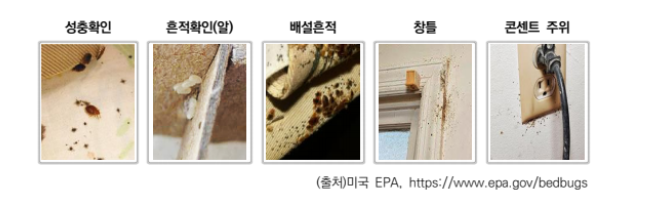 ktx 빈대