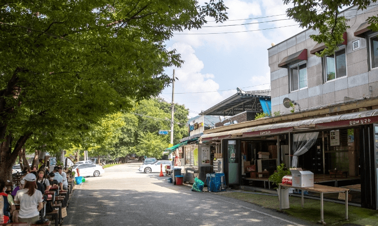 담양 가볼만한곳 베스트10