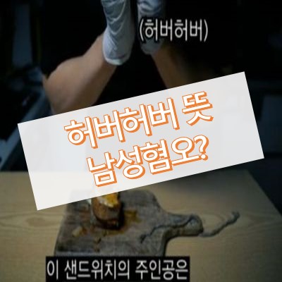 허버허버-썸네일