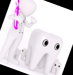 임플란트 가격 종류 비용