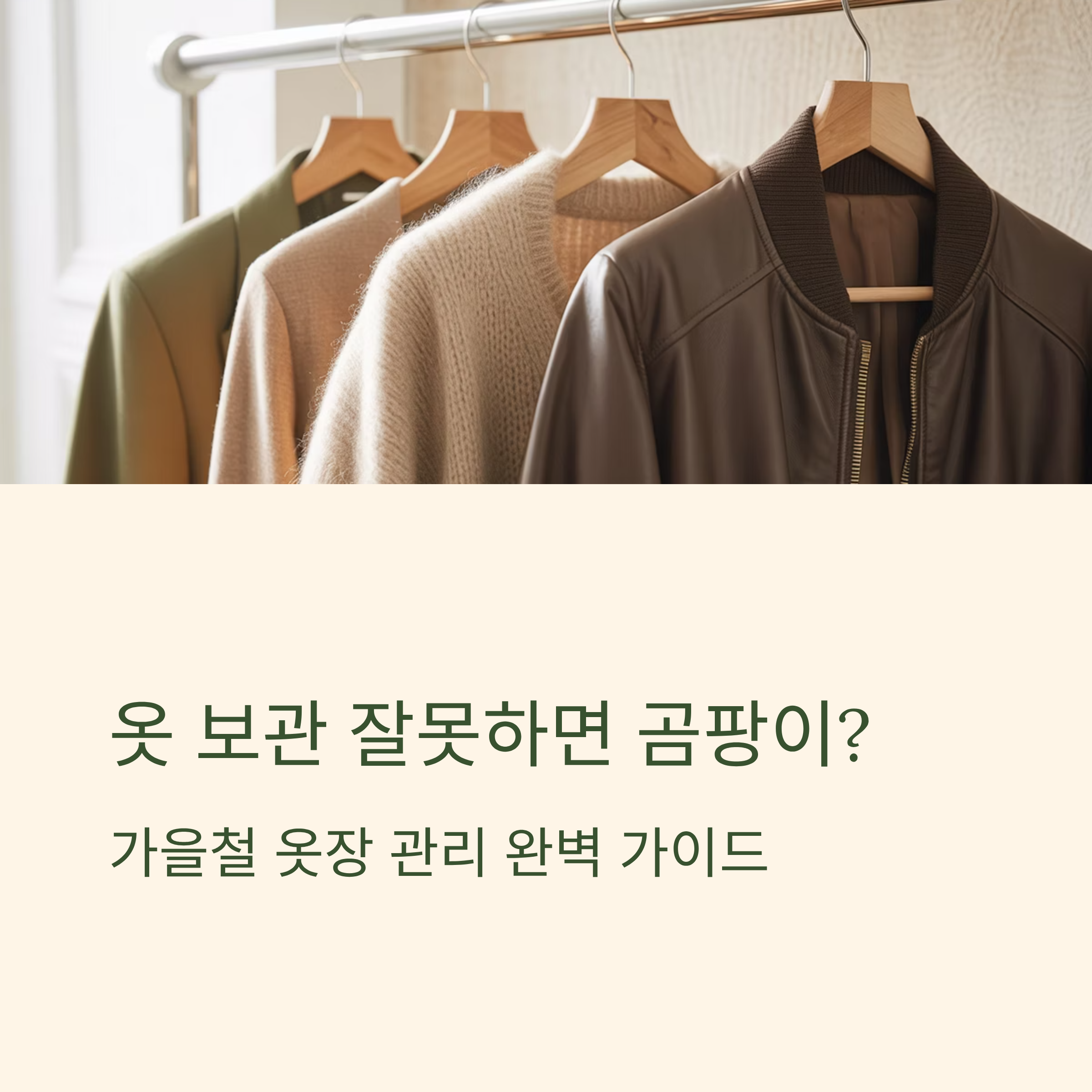 가을철 옷장관리 곰팡이 대표이미지