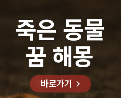 죽은 동물 꿈