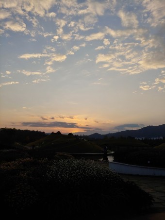 순천만 국가정원