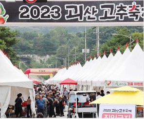 청정괴산고추장터