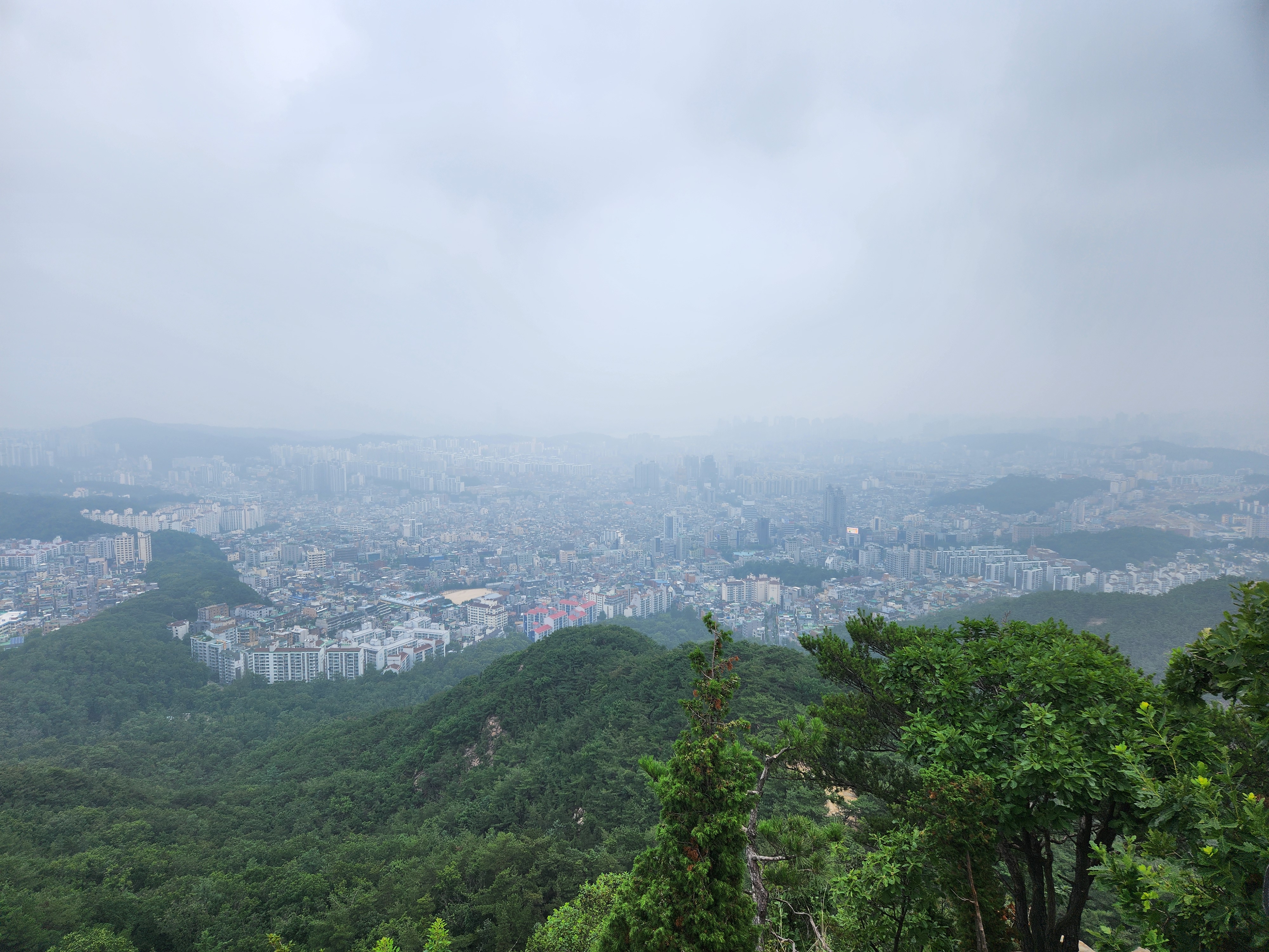 관악산 (25)