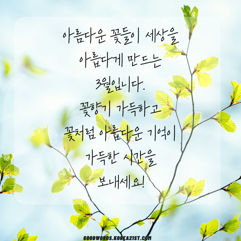 3월 인사말 문구 이미지 모음집