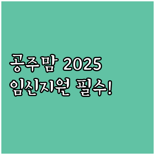 공주시 임신 출산 건강검진 지원 20..