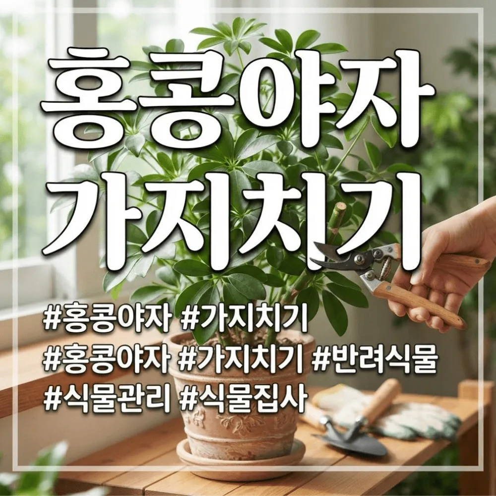 홍콩야자 가지치기