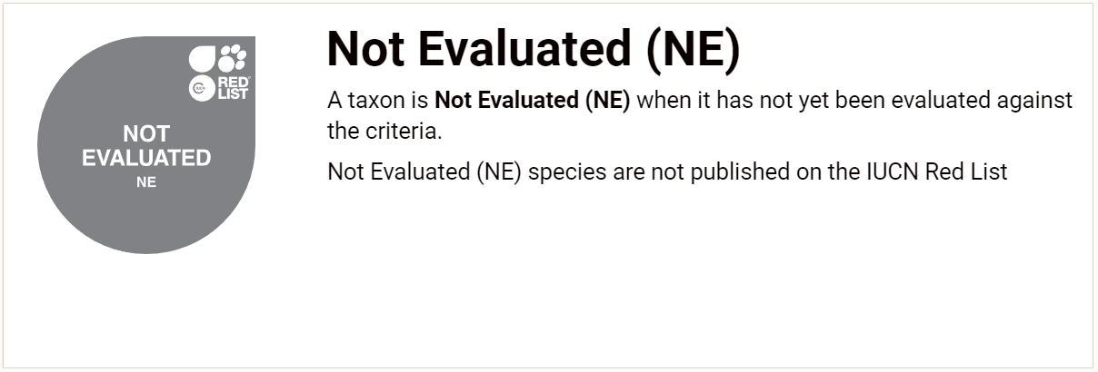적색목록: 미평가