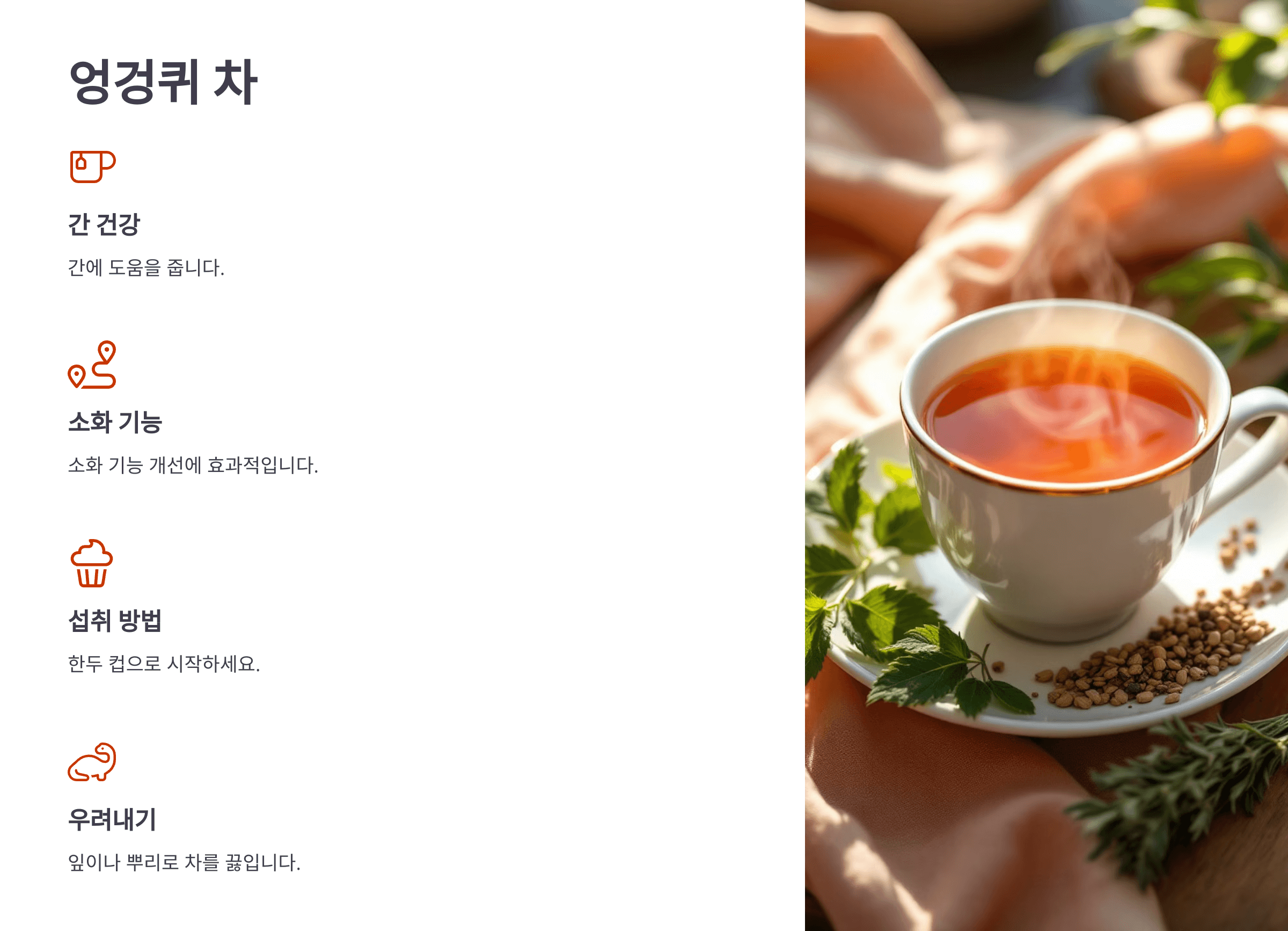 엉겅퀴와 관련된 사진입니다.