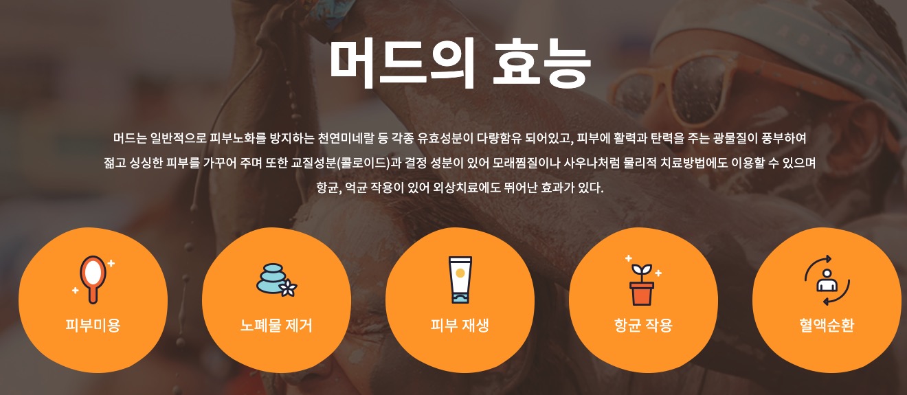 보령 머드축제