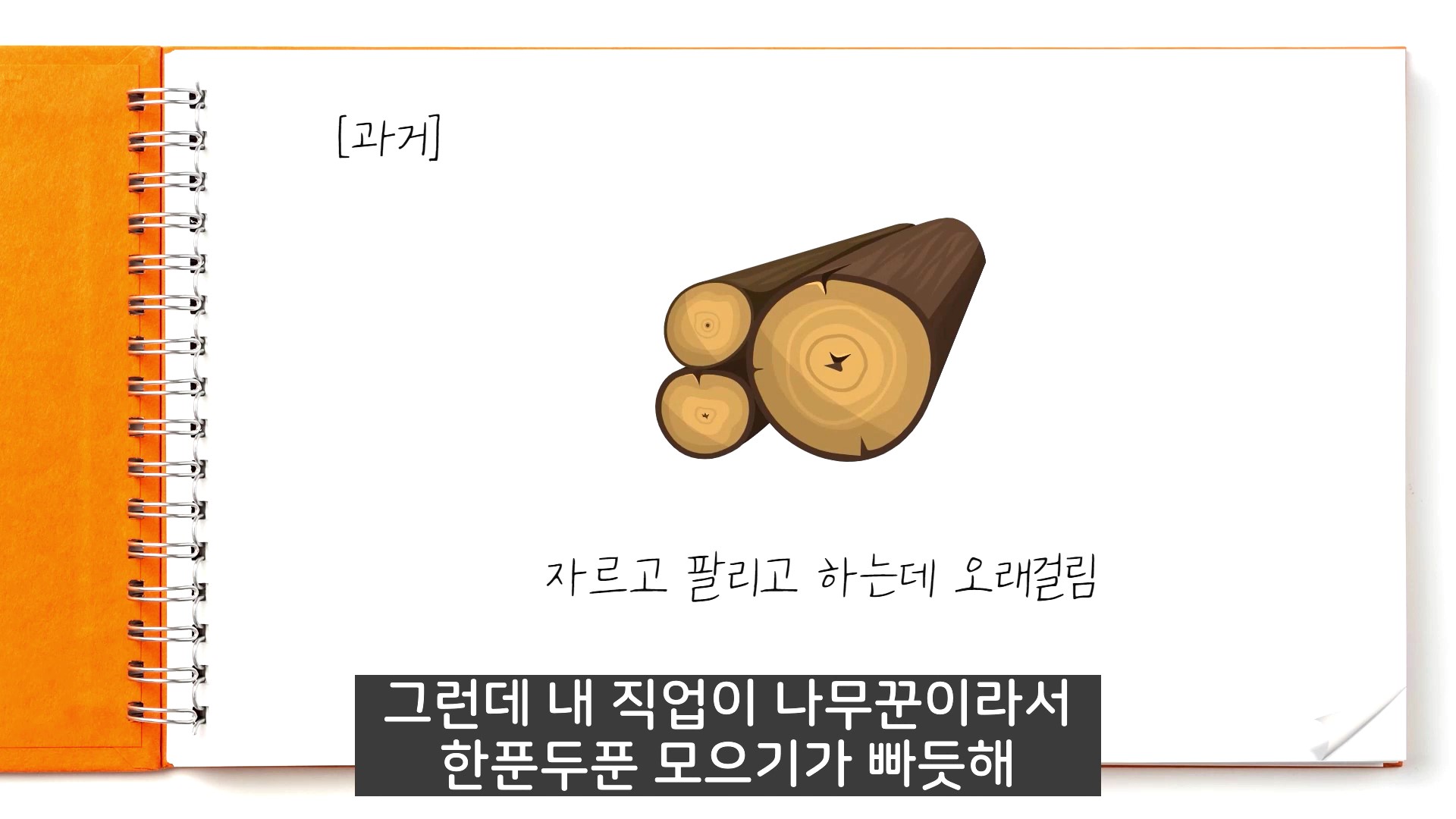 벌목한 나무