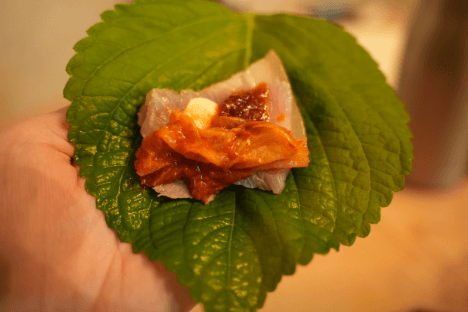 생방송 투데이 홍어삼합 마포 망원동