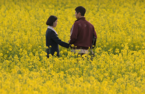 폭싹 속았수다 고창 청보리밭 촬영 장면