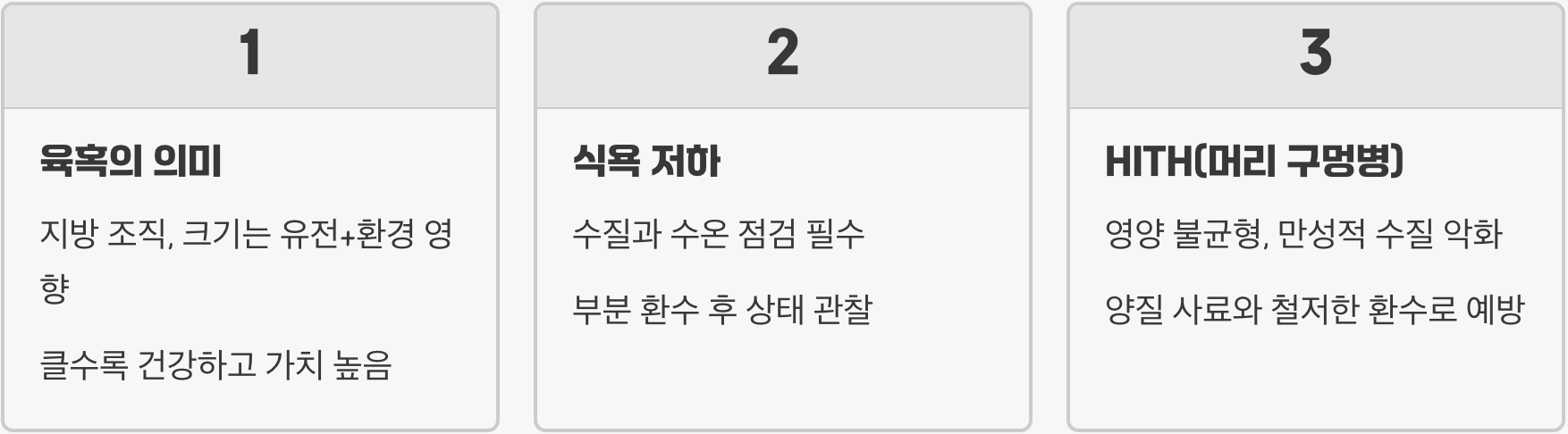 플라워혼 키우기 A to Z (어항, 먹이, 수질 관리)