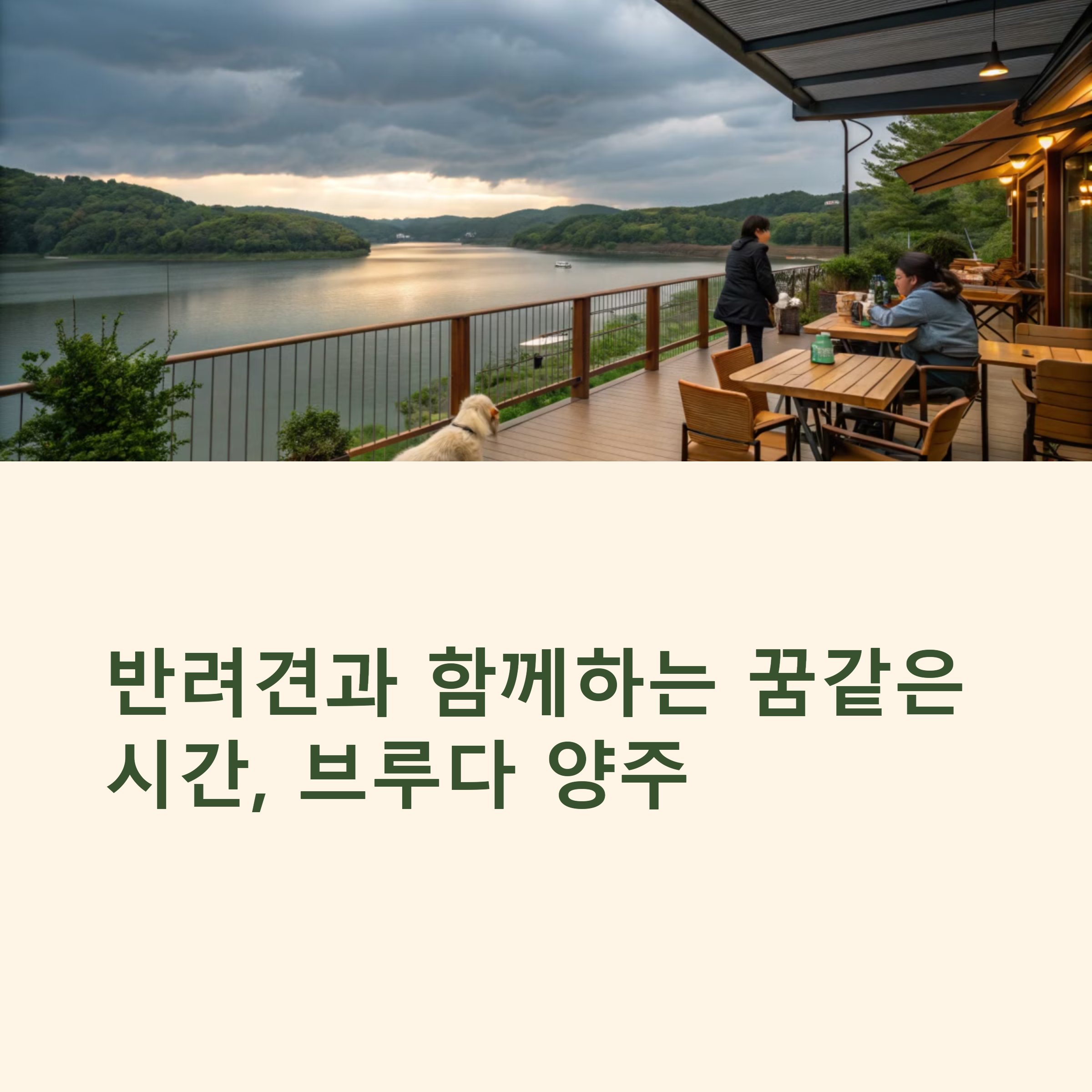 브루다 양주 카페 관련 사진