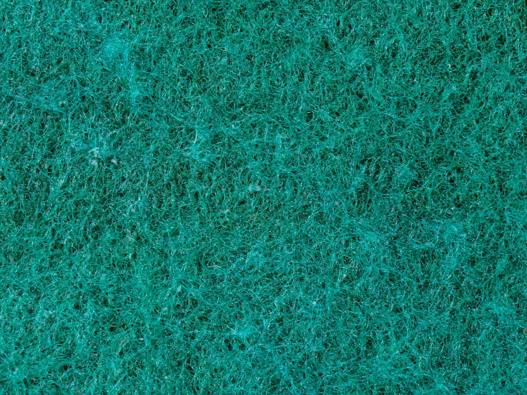 Sponge